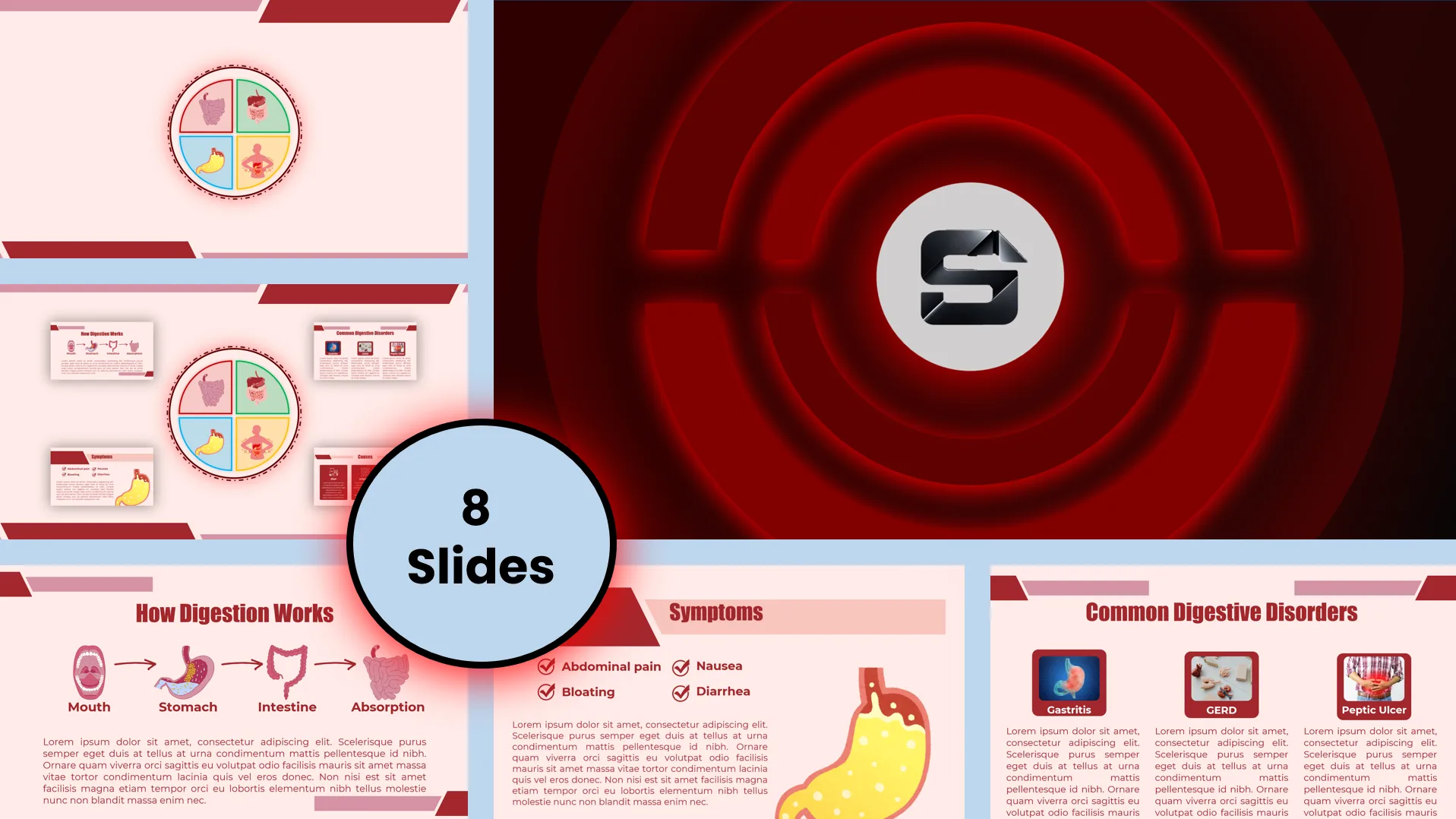 Digestive System PowerPoint Template | Editable PPT PowerPoint template preview